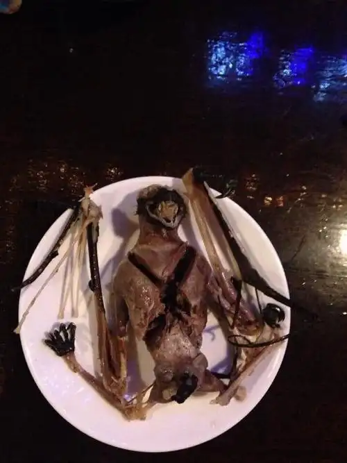 刚看了外国人吃蝙蝠的照片整个人不好了拿要看伐放图片了噢不要吃中饭