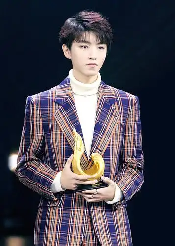 王俊凯手拿奖杯的领奖合集,根苗正红的优秀少年_偶像