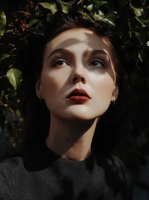 暮光富士欧美人像