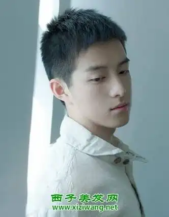 头很圆的男生适合什么发型