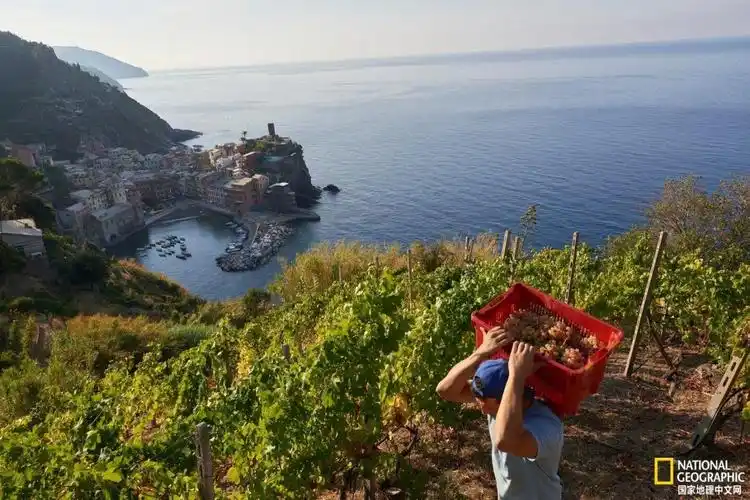 2021年图片大全好看风景,壁纸图片2021最火爆