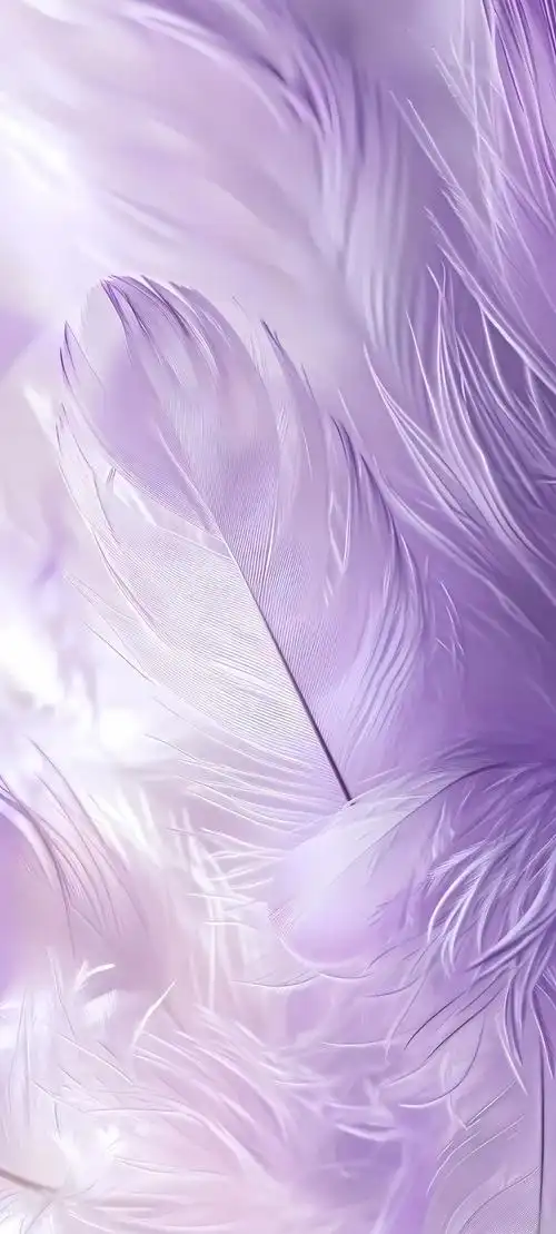 1080_2395竖版 竖屏