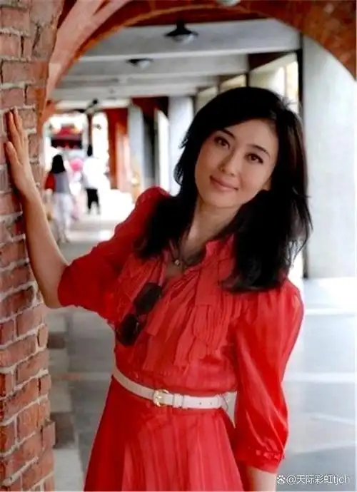 李红,中央电视台女主持人