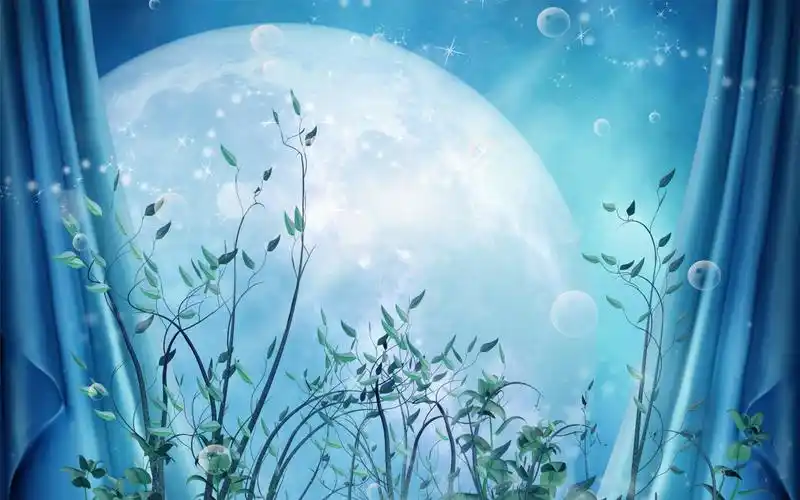 梦幻月亮花朵高清电脑桌面主题壁纸大全