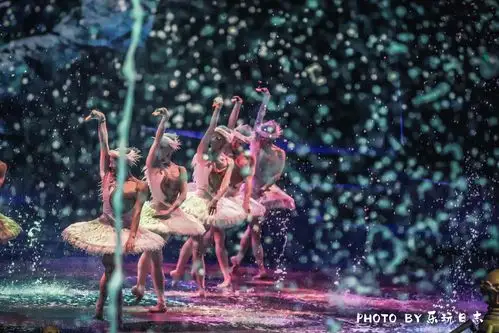 原创澳门旅游攻略这些最具特色的表演秀收藏了下次看