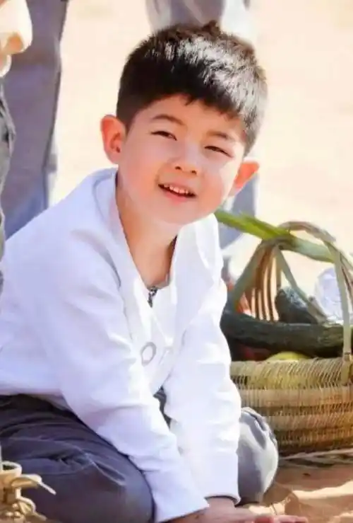 46岁胡可疑高龄怀三胎小腹凸起孕味十足沙溢去年深陷出轨风波