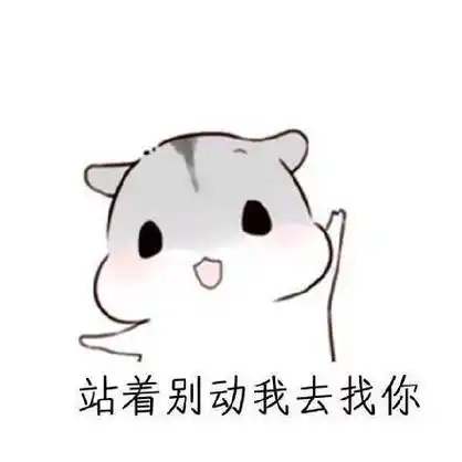 站着别动我去找你 - 仓鼠教你如何宠女票_仓鼠_撩妹撩汉表情