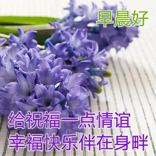 清晨早上好问候语表情图片大全中老年早安表情包