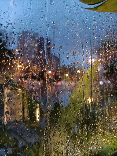 窗外的世界雨二