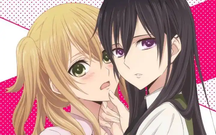 citrus op 乐器版合集