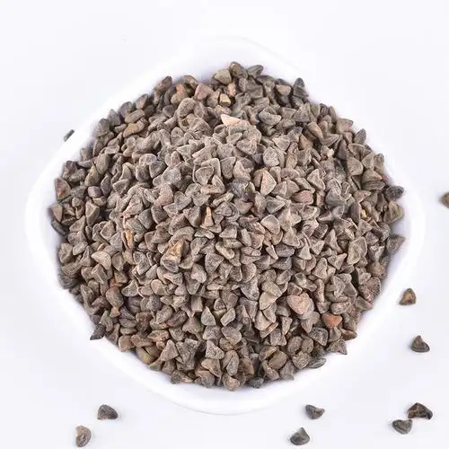 批发现货 苘麻子 苘实 野苎麻子 白麻子 中药材大全一件代发 包邮