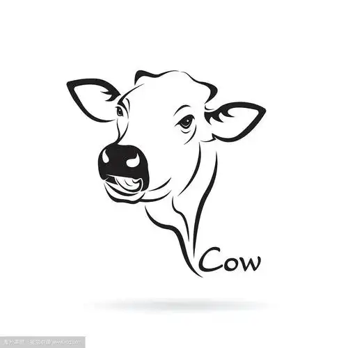 白色背景上的牛头矢量设计.农场动物.