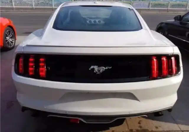 第一个就是世界知名的法拉利,作为一个世界里豪车,法拉利的"马"车标