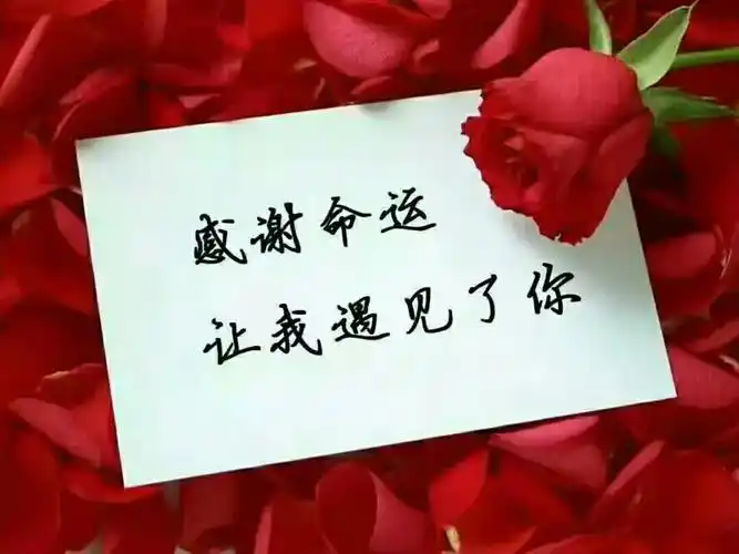 我愿意为你抛弃所有,给你拥抱,抱你一生,今后默默的爱着你,以前都是我