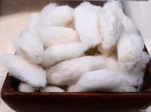 蚕丝是世界上最古老,最有价值的天然纤维之一,被广泛应用于纺织品