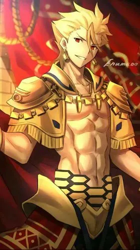 fgo美图 (19)闪闪合集