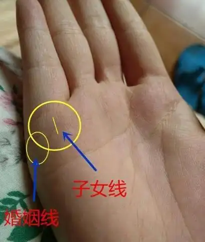 什么是手相子女线图解大全一个母亲第一胎生男生女,在一定程度上与
