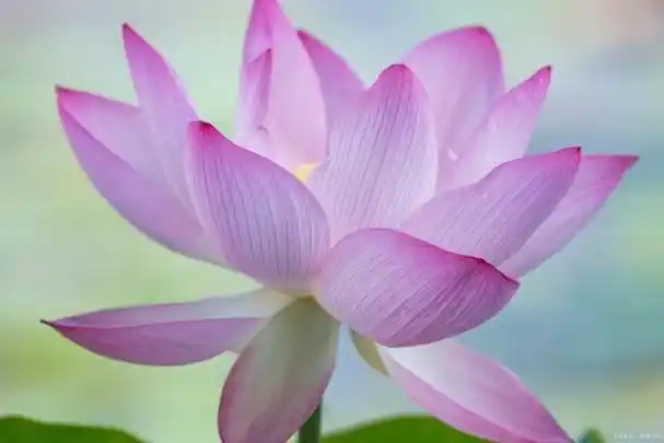 女人真正的美是菩萨相如何修成菩萨相