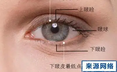 眼睑是哪里