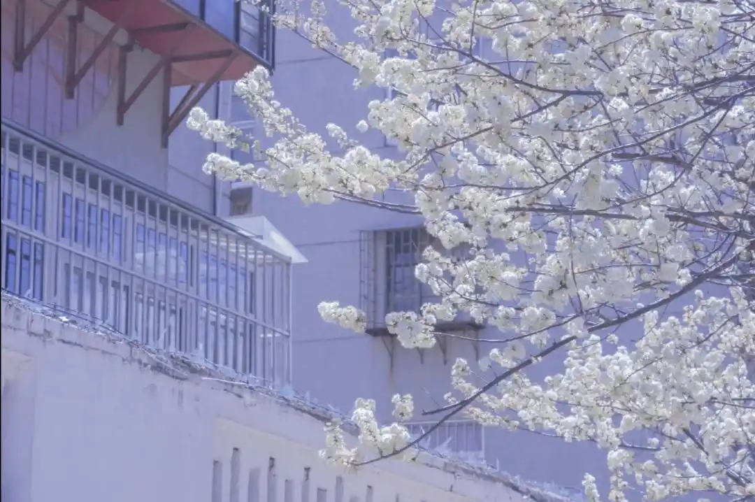 治愈系蓝色滤镜风景ipad壁纸