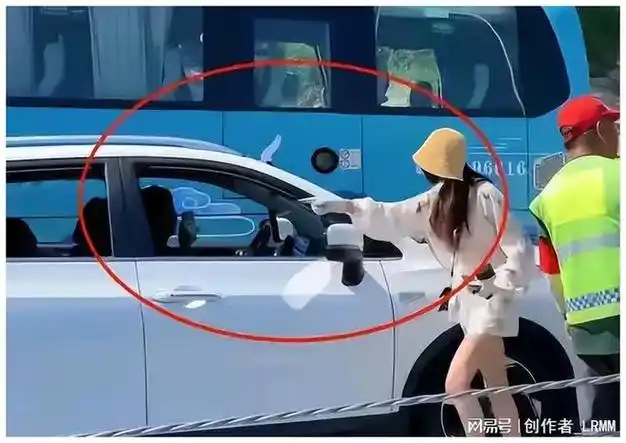 这一次,逆行追尾还打人的路虎女车主,"底裤"都快要被扒光了!