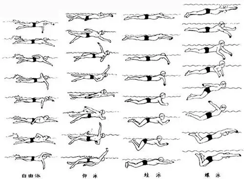 游泳图解