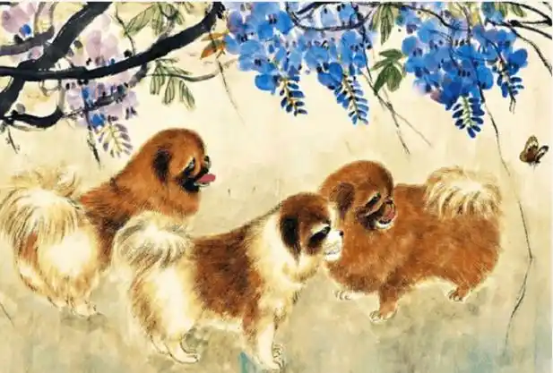 属虎 狗年和什么生肖最合  属狗的属相最配虎兔马属狗的人生肖婚配