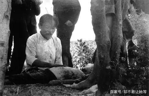 书上没有的历史事件旧照,日军残忍小孩子都不放过,图六给他致敬