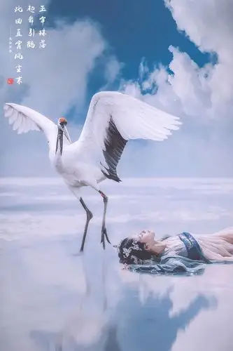 玉伞珠落起舞引鹤古风唯美人像摄影