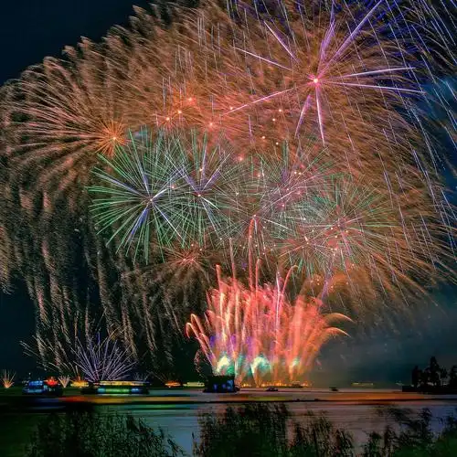 2021除夕夜绚烂的烟火