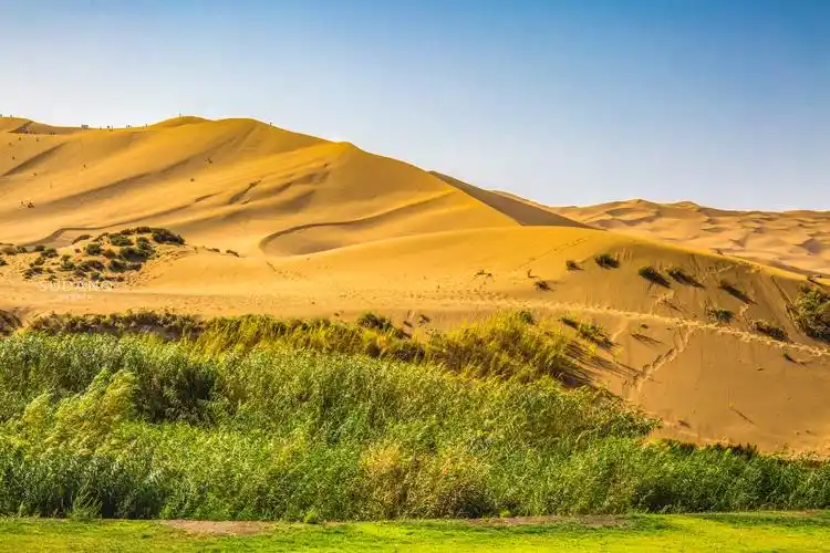 这片与城市相连的沙漠,世间少见,风光震撼人心