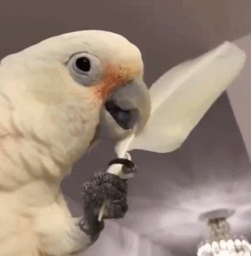 年轻美女离你最近的时刻 竟然这么棒的动态图