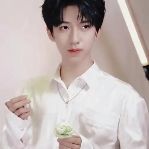 时代少年团贺峻霖图片:弟弟是温柔本身