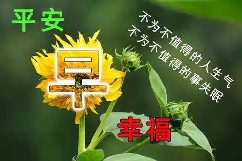 原创早上好图片大全最美图集早上好祝福语短句子