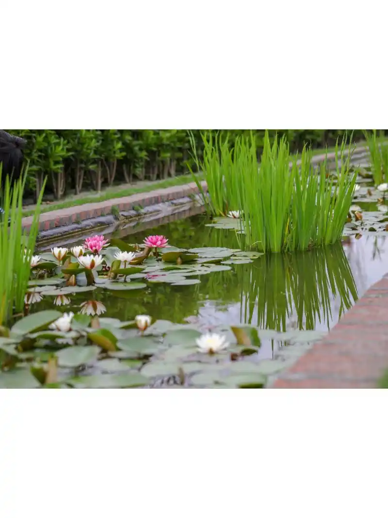 水池- 热门商品专区