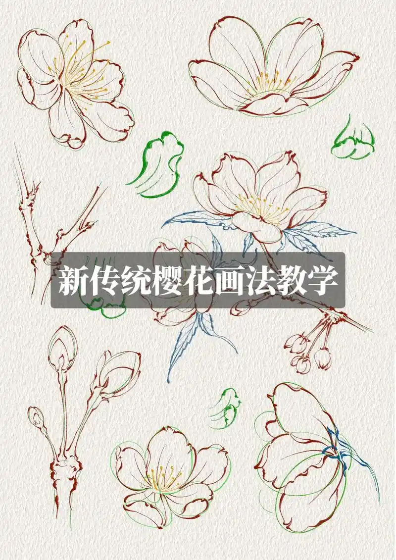30秒学会画樱花||新传统樱花的画法与老传统不同,老传统樱花比较扁平