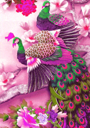 315_446竖版 竖屏gif 动态图 动图