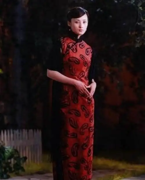 末代皇妃演员表(蒋勤勤曾经演过末代皇妃文绣)