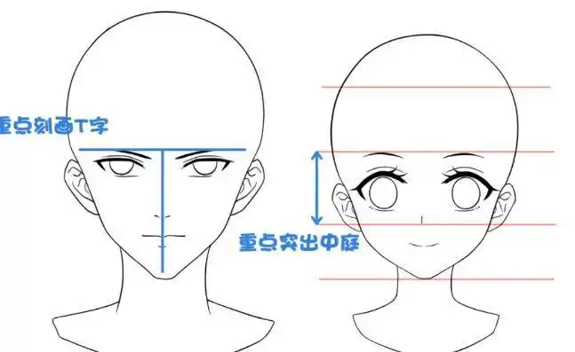 动漫人物五官画法!|轮廓|脸型_网易订阅