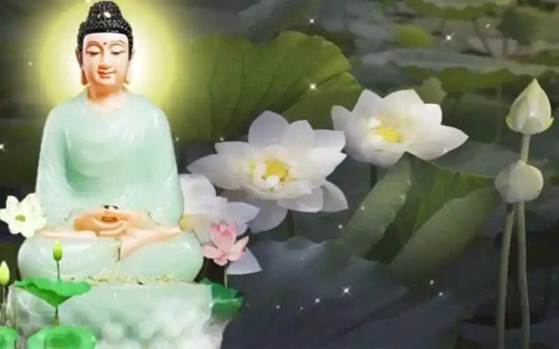 静心佛乐,疗愈身心,放松自己.