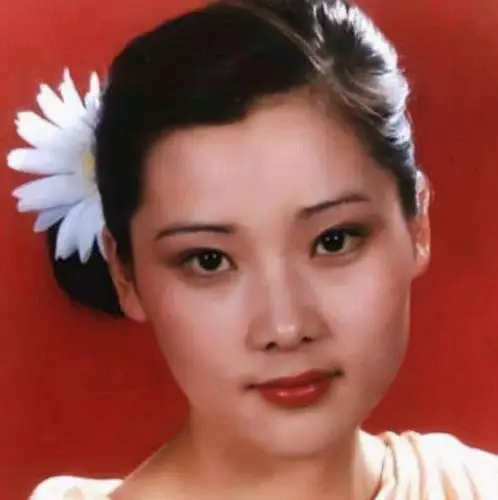 何赛飞年轻时有多美?嫁初恋结婚30年0绯闻,儿子还随她姓