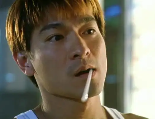 【图】盘点刘德华演古惑仔的图片 4大古惑仔齐聚重温经典