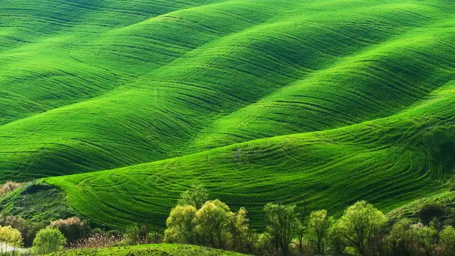 高清绿色护眼自然风景图片桌面壁纸