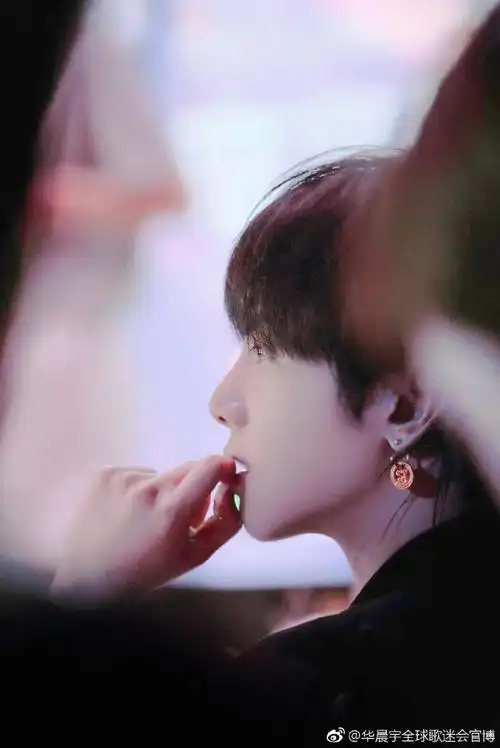 华晨宇扎小辫子