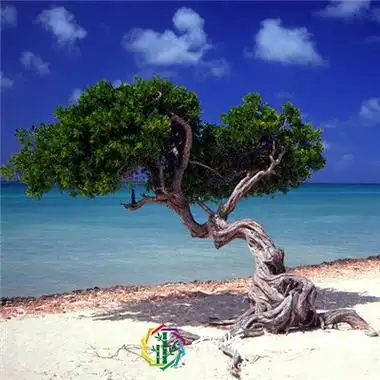 男人用什么头像运气好有格局的成功男士微信头像