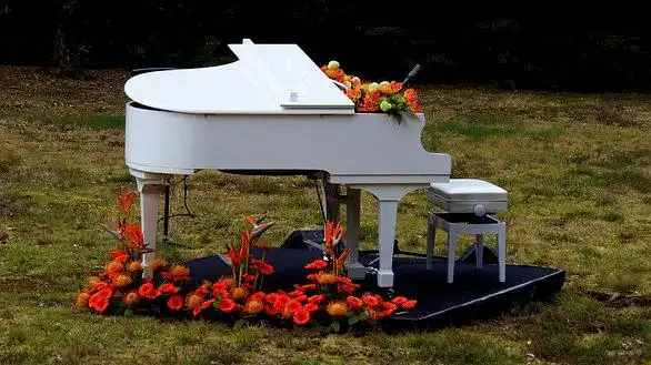 【好文分享】唯美钢琴曲,一次次沉醉其中,久久不愿醒来_one_our_音乐