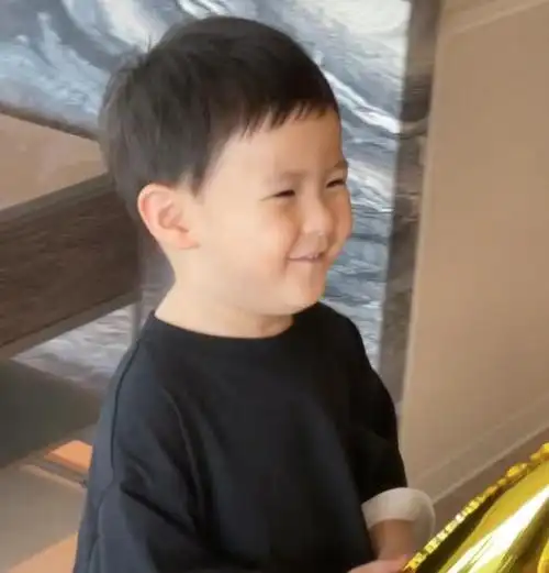 沈腾3岁儿子正面照曝光,豪宅整排落地窗显奢华,妻子备孕生虎妞