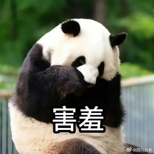 "萌兰"超实用表情包走一波,公主少爷请签收!