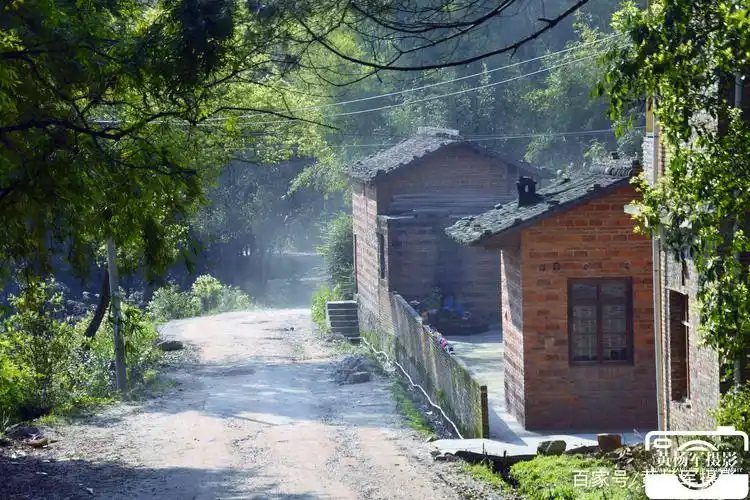 熟悉的路熟悉的风景.