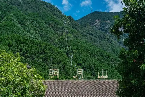 背乘坐缆车上山绝对是一种享受不仅可以从高处领略明月山秀美风光更